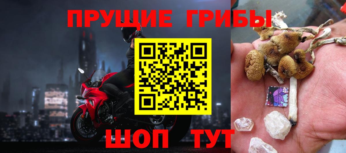Кизилюрт  Псилоцибиновые грибы Cubensis  Вход с VPN 